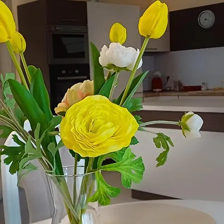 Silent דירה Swieta Katarzyna (Lower Silesia)